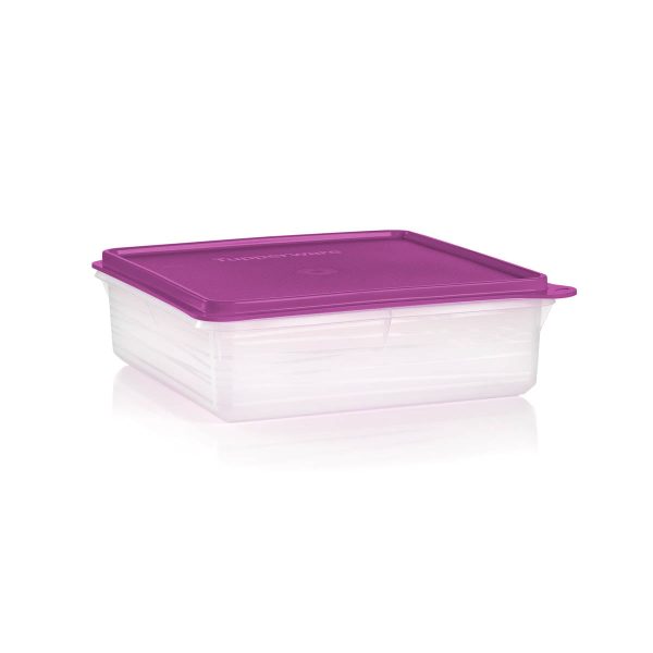 Tupper Ware Snack-Stor® Container