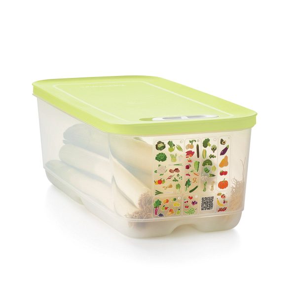 Tupper Ware Tupperware® FridgeSmart® Large Deep | Produce Storage Container With Lid